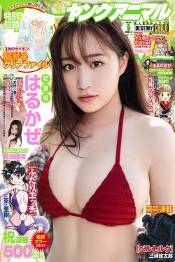 斗破苍穹年番30集免费观看完整版